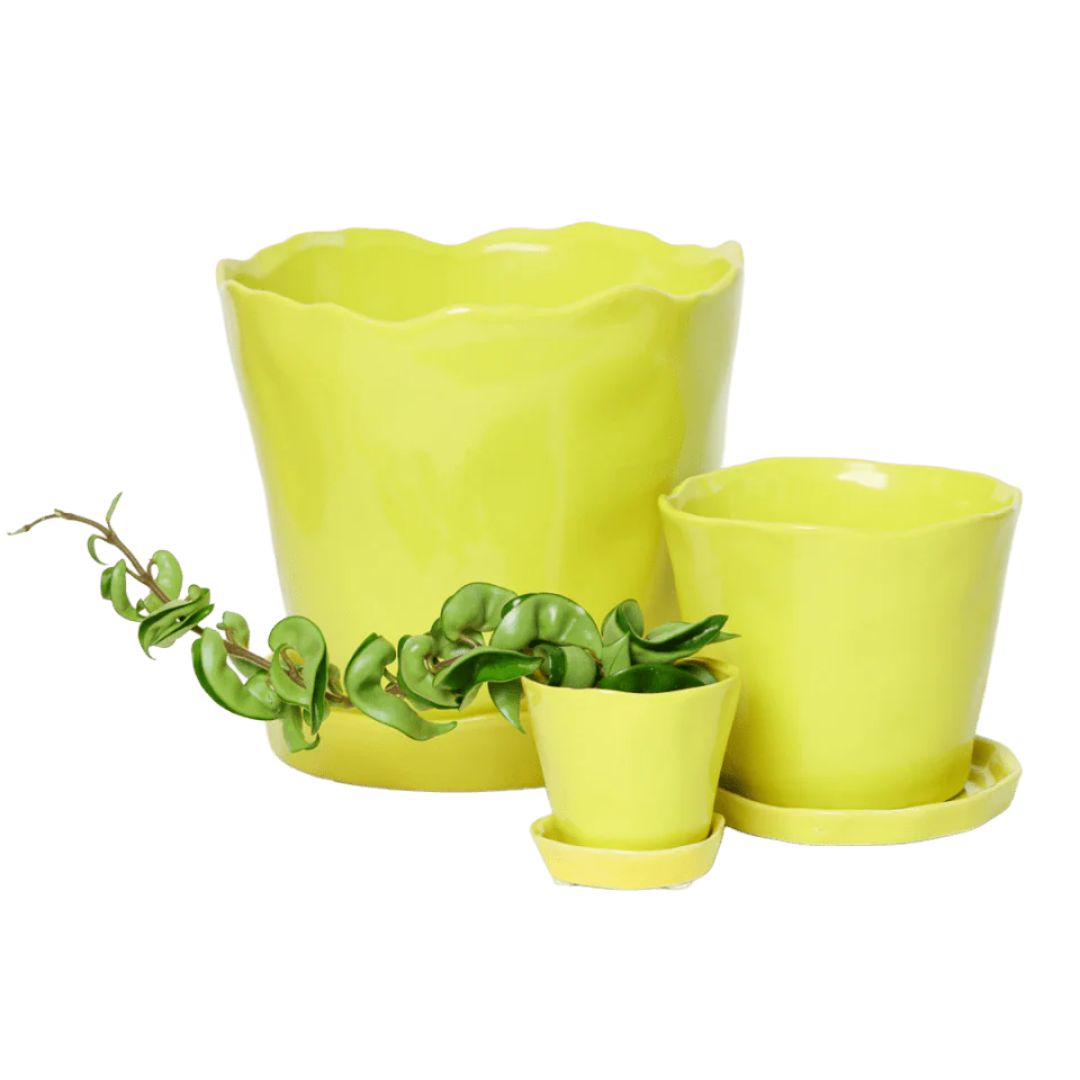 Tika Pot With Saucer – Chive – Green Sheen – 3″